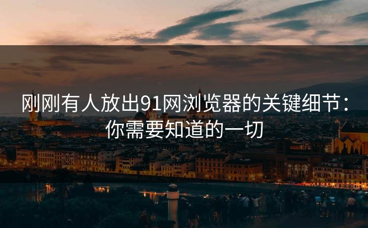 刚刚有人放出91网浏览器的关键细节：你需要知道的一切
